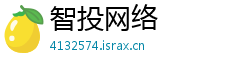 智投网络